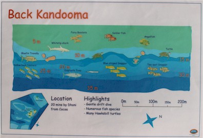 Back Kandooma